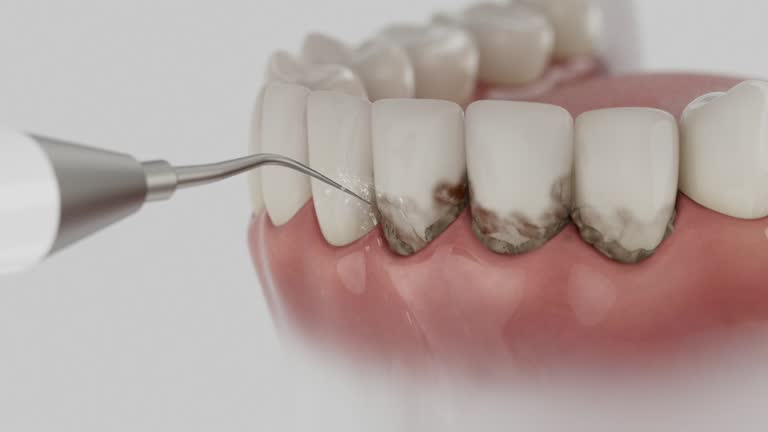 Reliable Dental contractor in Kingston Estates, NJ by Dentist Open Now